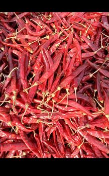RED CHILLIS  Packaging 50 KG -   WEST  ENGLAND COMMERCE & INTERNATIONAL TRADING CO PTE LTD  - Singapore