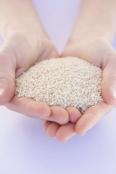 HULLED SESAME SEED  Packaging 25KG PAPER BAG Grade HULLED 99.95, - Lav Chandira  - India