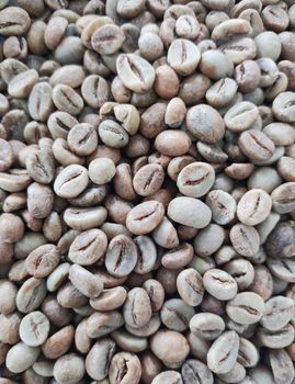 Robusta Coffee Greenbean – product photo, Roasted Robusta Coffee products found from trusted suppliers, wholesalers, manufacturers & exporters Listing