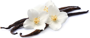 AGRI EXIM LIMITED – company logo, product detail supplier profile