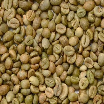 Robusta Green Coffee Beans from DUC PHUC IMPORT EXPORT COMPANY LIMITED Robusta Green Coffee Beans – product photo, Long Green Beans products found from trusted suppliers, wholesalers, manufacturers & exporters Listing