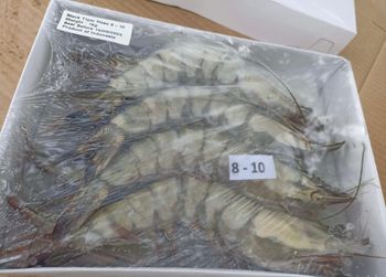 Frozen Tiger Prawn 8-10 HOSO Form frozen Texture Firm Place of Origin Indonesia Size 8-10, 8-10 Pieces Per Kilogram Freezing Method Individually Quick Frozen (iqf) - Acefort Ventures - Singapore
