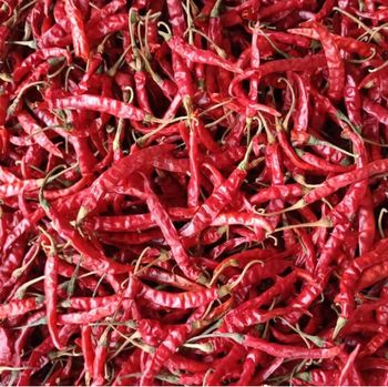Teja Red Chilli Packaging Details 25/50Kg Place of Origin Andhra Pradesh, - Sri Prithvi Trader - India