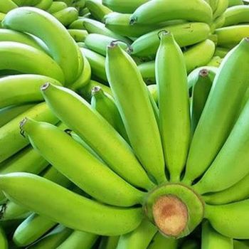 Cavendish Banana G9 from Ozeal Overseas LLP Cavendish Banana G9 – product photo, G9 Banana products found from trusted suppliers, wholesalers, manufacturers & exporters Listing