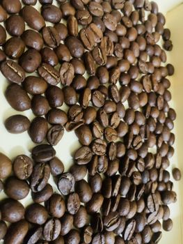 Indian Arabica Coffee Beans - Shipster Exports and Imports - India
