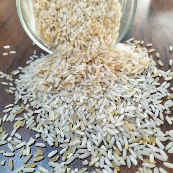 AGRO MAKI PLUS DOOEL STR NARODEN FRONT N - Freshdi