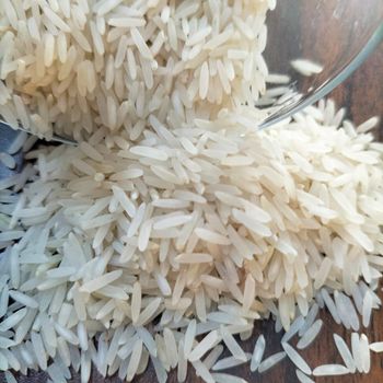 AGRO MAKI PLUS DOOEL STR NARODEN FRONT N - Freshdi