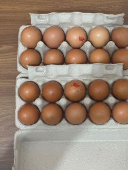 Chicken Eggs from nakhlaegg Chicken Eggs – product photo, Frozen Chicken Eggs products found from trusted suppliers, wholesalers, manufacturers & exporters Listing