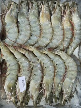 Frozen Black Tiger Shrimp - PT. Agung Persada Tunggal - Indonesia