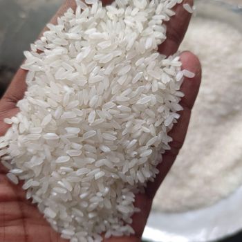 WHITE RICE from WEST ENGLAND COMMERCE & INTERNATIONAL TRADING CO PTE LTD WHITE RICE - WEST ENGLAND COMMERCE & INTERNATIONAL TRADING CO PTE LTD - Singapore