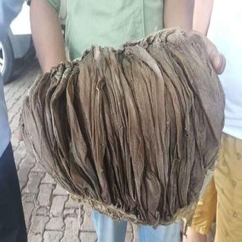 BEEF SKIN from Tanzania Sell wholesale by AGRO AFRIQUE COMPANY