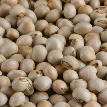 PIGEON PEAS Defect Rate 4-5% Bean Color Brown Humidity Level 14% Packaging 50 KG BAG Availability All Year Live Insects Presence No - AGRO AFRIQUE COMPANY LIMITED - Tanzania
