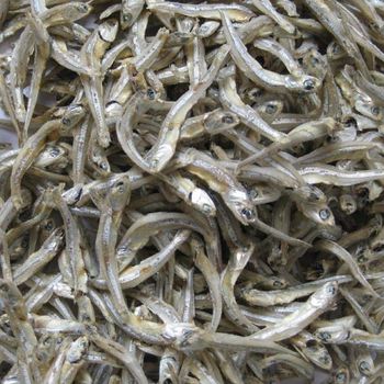 Dry Anchovy Fish Packaging 50 KG - AGRO AFRIQUE COMPANY LIMITED - Tanzania