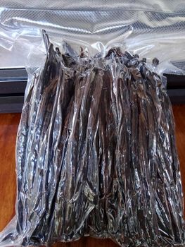 Vanilla Bean - Agrizania International - Tanzania