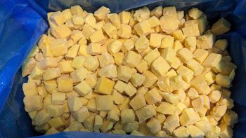 Frozen Mango Shelf Life 24 months Place of Origin Vietnam Packaging 250g, 500g, 1kg, 2kgs, - Dovi Food Co., Ltd - Vietnam