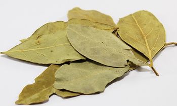 Bay Leaf - Elrouby Herbs - Egypt