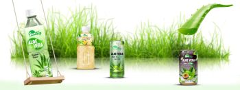 Sunsip Aloe Vera Drink Primary Ingredient Aloe Vera Taste Profile Refreshing With Natural Taste Flavor Options Original, Mango, Grape, Lychee, And - SUNSIP BEVERAGES VIET NAM COMPANY LIMITED - Vietnam