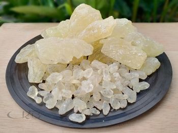Dammar Gum - PT Umar Kaya Berkah - Indonesia