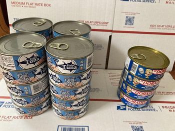 Bulk Canned Tuna Sale Canned Tuna Brands 184G Brand Name Canned - SAEBYGARD AVLSGARD A/S - Denmark