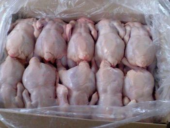 Wholesale Frozen Chicken Paws Frozen Chicken Feet – product photo, Frozen Chicken Skin products found from trusted suppliers, wholesalers, manufacturers & exporters Listing