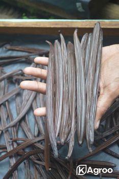 Natural Vanilla Beans Grade A+ – product photo, Dried Vanilla Beans products found from trusted suppliers, wholesalers, manufacturers & exporters Listing