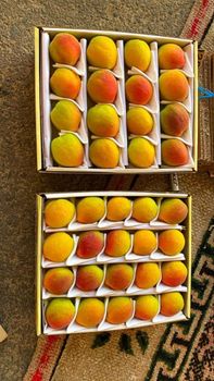apricot Color red Packaging - Freeze Dried Fruit LTD - Uzbekistan