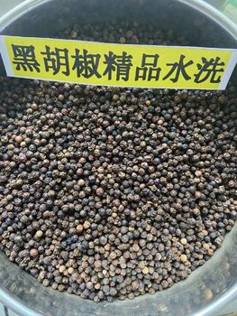 Premium Quality Black Pepper - 东莞聚味隆 - China