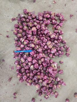 Bangalore Rose Onion - AL MATEEN GENERAL TRADING - India