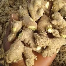 Ham Jaba Ginger Kaduna best quality Ginger  Type Fresh Ginger Place of Origin Jaba Kaduna - DE Abaneke and sons connect - Philippines