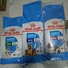 Royal Canin Fit 32 Dry Cats Foods For Sale Grade A Max. Moisture (%) A Packaging 3 bottles x 01 crtn 1892 crtns per 40’FCL 5,5676 bottles per - Black And White Global Ltd - United Kingdom