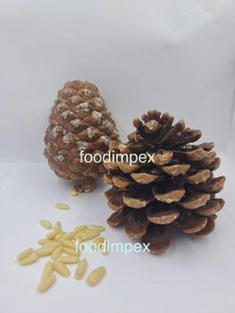 pine nut kernels Grade - Foodimpex Gida Sanayi ve Ticaret AS - Turkey