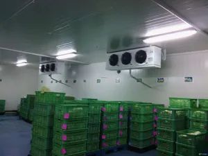 Fish/ Meat Cold Room Evaporators Low Temperature Refrigeration Cold Storage Room - Zhejiang Damai Cold Chain Equipment Co., Ltd. - China