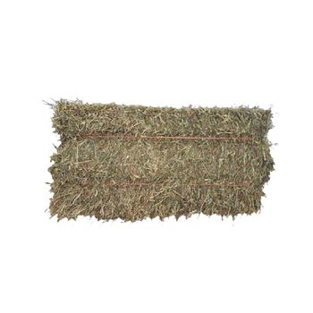 High Fiber Alfalfa Hay For Animal Feed Fresh Cut Green Alfalfa Hay For Dairy Cattle Horses And Goats Bulk Export Quantity - THE GREEN INTERNATIONAL LIMITED - Tanzania