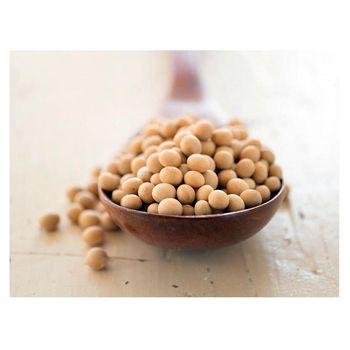 50kg Bag Sprouting and Food Grade Dry Yellow Soybean Seed Non Gmo Soybeans - Exigentelaxia Unipessoal Lda - Portugal