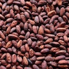 Ugandan Fermented & Dried Cocoa Beans - Pearl Organic Farm Produce Uganda - Uganda