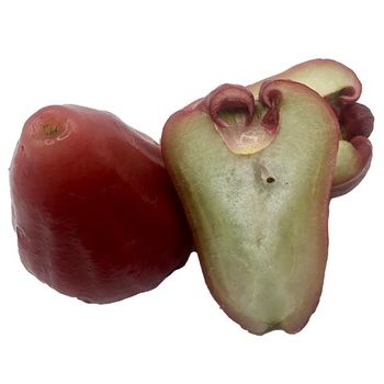 Premium Quality Imported Grade Rose Apple Fruit Temperature measuring Quality Selecting Fresh Rose Apple - KT PARTNER CO.,LTD. - Thailand