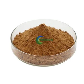 Herbal Extract Tangerine Seed Extarct Semen Citri Reticulatae - Xian Herben Biotech Co., Ltd. - China