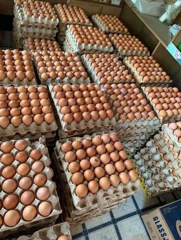 Farm Fresh Chicken Brown Eggs / White Supplier of Fresh Protein Rich Farm Chicken Eggs Fresh Brown E - VERTEX TRADING LIMITED - United Kingdom