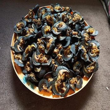 Export Grade Whole Dried Land Snails No Additives or Preservatives for Cooking and Traditional Dishes - S-SQUAD - France