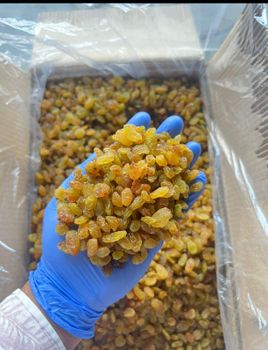 raisins/ dry grapes from Regro foods raisins/ dry grapes - Regro foods - India