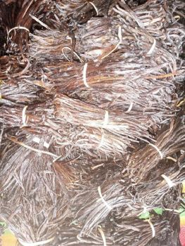 2026 Vanilla Beans -  DAEWKAEW PANTAMANG Co., Ltd - Thailand