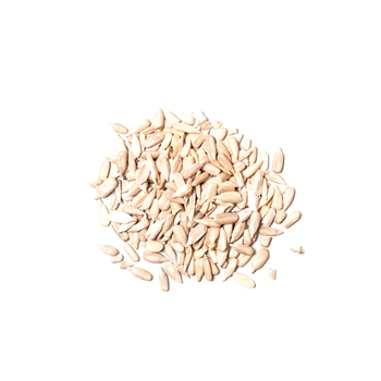 Natural White Kernel Sunflower Seeds Pesticide-Free Grade 1 Raw Dried Processing Fresh Dry Edible Snack - TRADECENTRIC LLC - United States