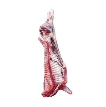 Frozen Buffalo Boneless Meat Beef Frozen Beef Carcass/Frozen Beef Cuts - Exigentelaxia Unipessoal Lda - Portugal