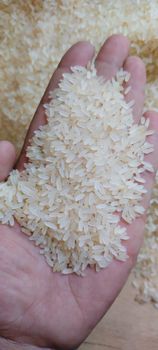 IR64 Parboiled Rice 5% Broken from Bait Alazka Foodstuff Trading LLC IR64 Parboiled Rice 5% Broken - Bait Alazka Foodstuff Trading LLC - United Arab Emirates