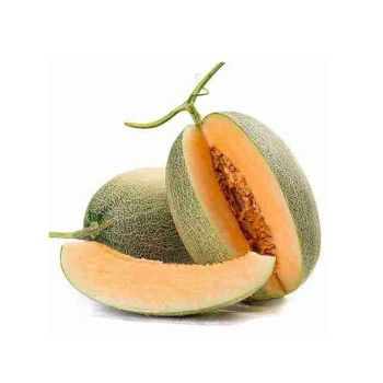 Fresh Hami melon fresh sweet juicy cantaloupe melon Style Fresh Brand Name NSR Type Cantaloupe Ingredients non Weight (kg) - Jining New Silk Road Food Co., Ltd. - China
