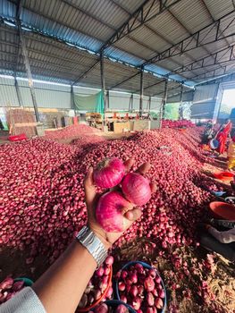 onions from RNS Groups onions – product photo, Fresh Shallot Onion products found from trusted suppliers, wholesalers, manufacturers & exporters Listing