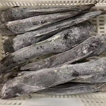 Frozen Catfish Premium Frozen Fish Selection For Seafood Importers Retail Suppliers And Wholesale Buyers - TOSOH INTERNATIONAL - South Africa