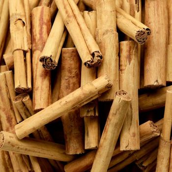 Fresh Harvest Cinnamon Quills Cinnamon Premium Aroma Spice Bulk Export For Beverage Producers And Food Brands Global Buyers - malter group - Tanzania
