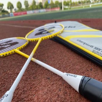 2020 Hot Sale Good Quality Alloy Custom Printed Badminton Rackets Set for Training - TianChang Liangwen Sporting Equipment Co., Ltd. - China
