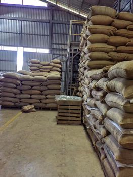 Green Coffee - Nuwijk International Trading Co.,Ltd - China